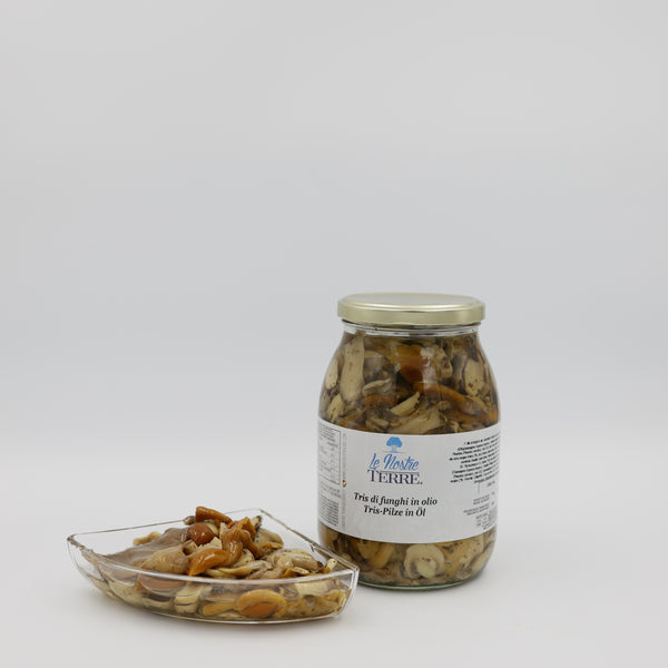 TRIO VON PILZEN IN ÖL