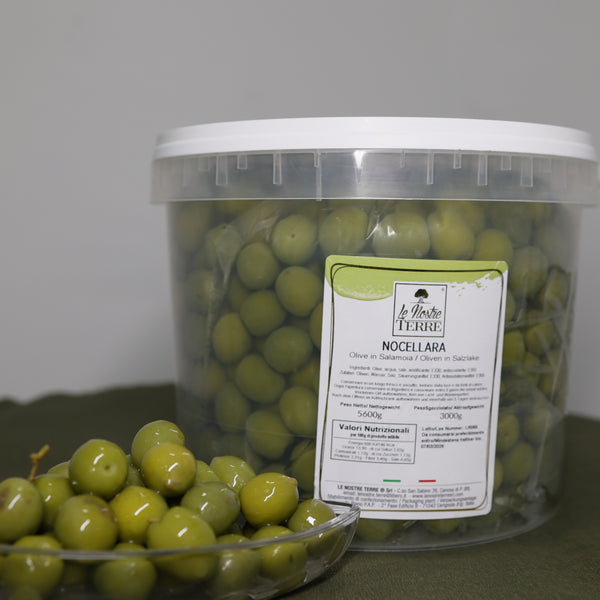 NOCELLARA - OLIVES IN BRINE